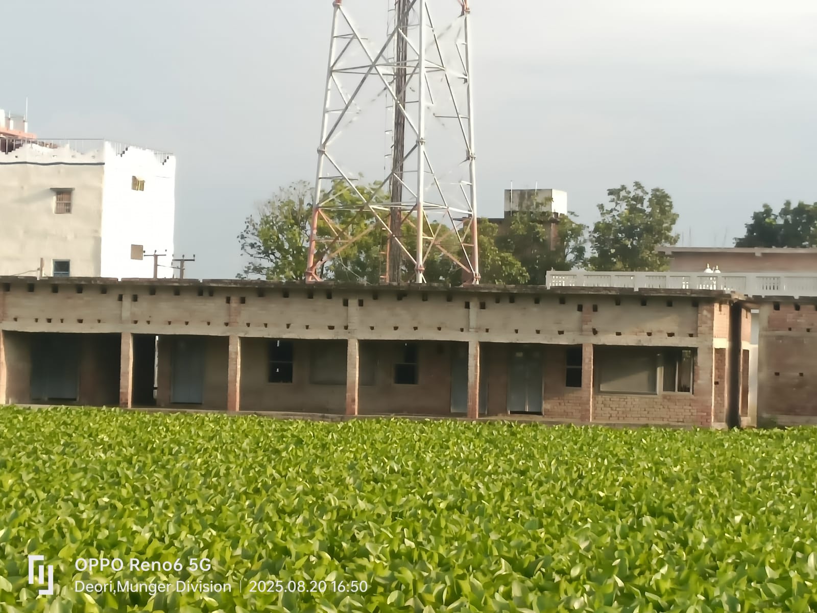 खगड़िया: परबत्ता में दशकों से झोला में चल रहे विद्यालयों से डी ई ओ ने मांगा हिसाब,सुस्ती दिखाने पर प्रधानाचार्य से पूछा स्पष्टीकरण