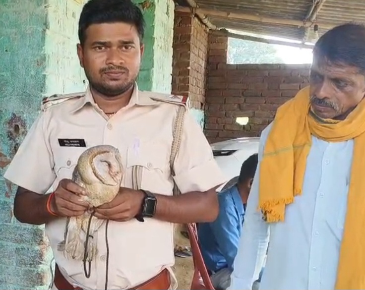 खाट के नीचे छिपा था लाखों का दुर्लभ उल्लू, रात  भर जागकर परिवार ने की रखवाली