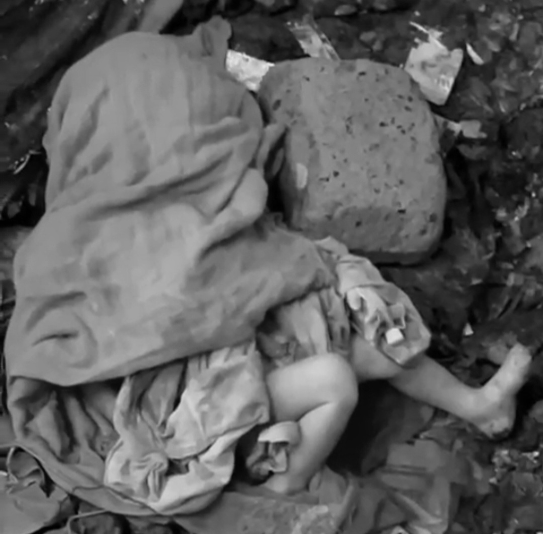 जवाहरलाल नेहरू मेडिकल कॉलेज के सामने वाटर पार्क के पास कपड़े में लपेटकर फेंका मिला नवजात शिशु का शव