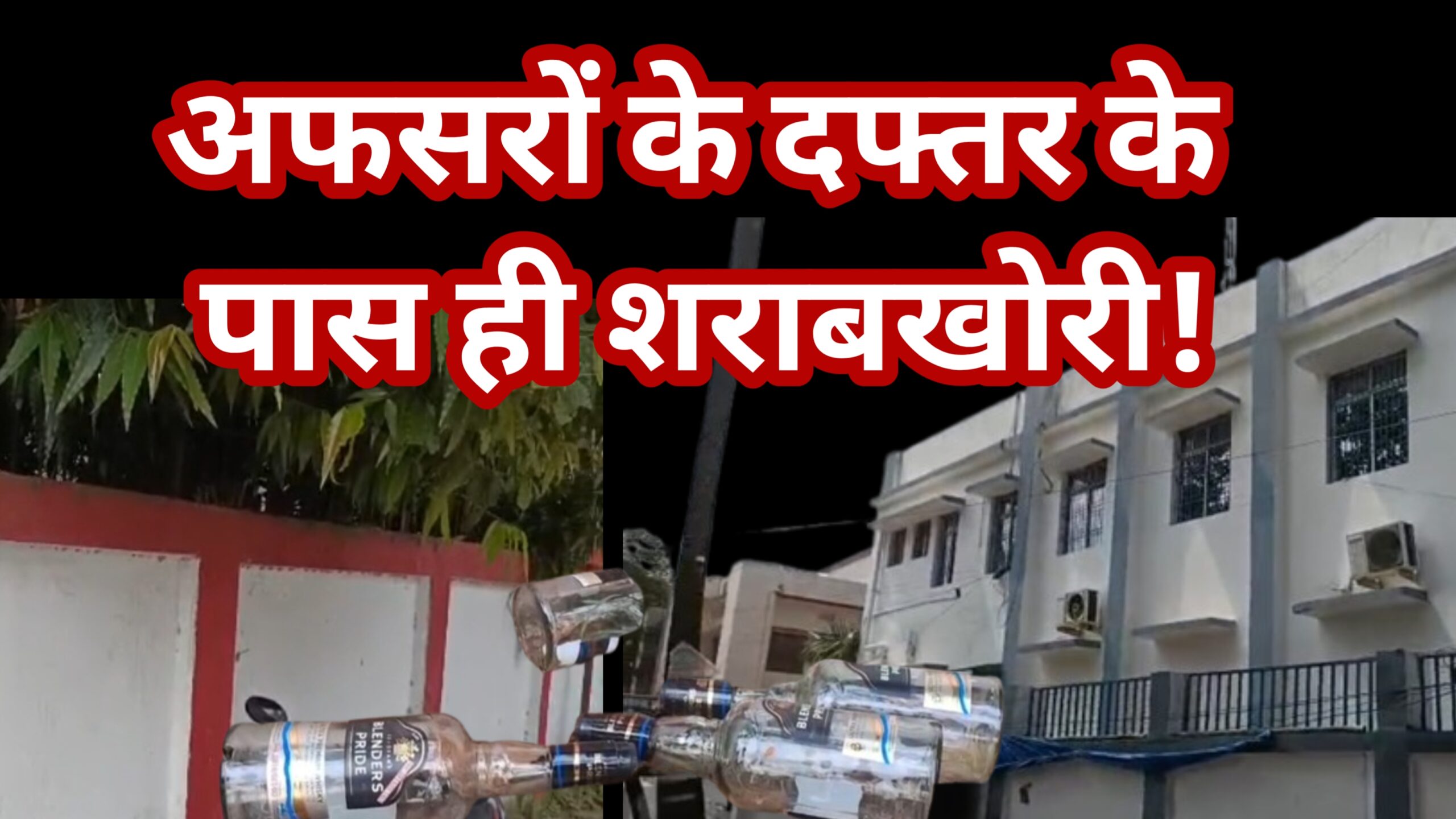 अफसरों की नाक तले शराबखोरी! भागलपुर एसडीएम दफ्तर के पास शराब की खाली बोतलों का ढेर, प्रशासन बेख़बर