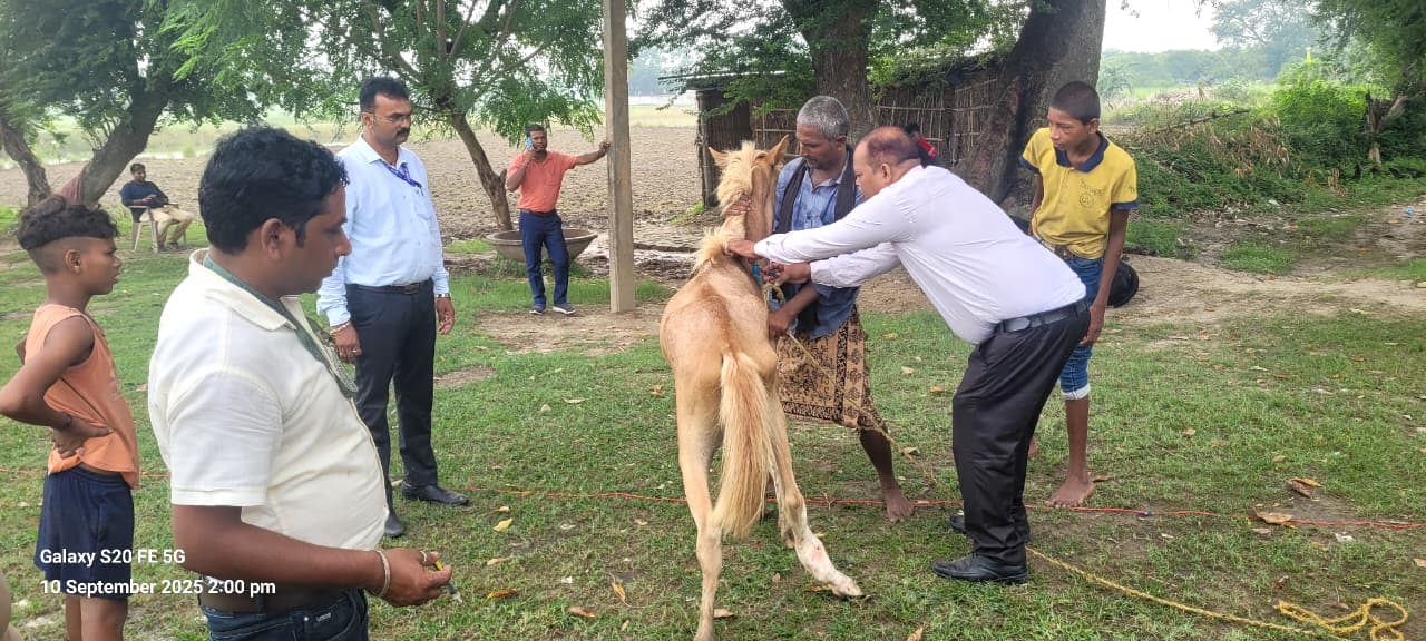 खगड़िया:चौथम के पिपरा ब्राह्मा हाय स्कूल के मैदान में जीविका पशु चिकित्सा सह मार्गदर्शन मेला का किया गया आयोजन