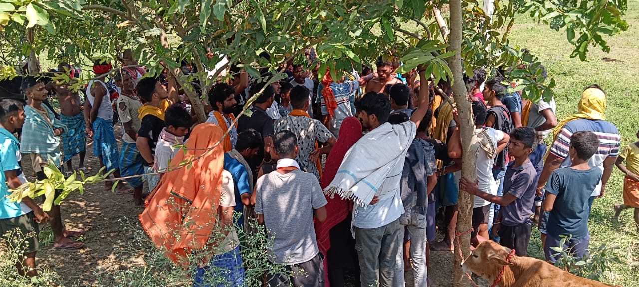 खगड़िया: परबत्ता के बैसा गांव में खेत जाने के लिए निकले युवक की पेड़ से लटकती मिली लाश, आत्महत्या की आशंका, पुलिस ने शुरू की जांच