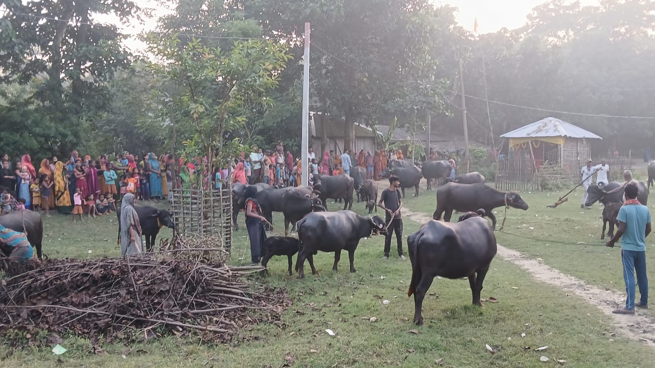 पंद्रह वर्ष बाद फिर हुई रसूआर गांव में परंपरागत हुड़याही प्रतियोगिता