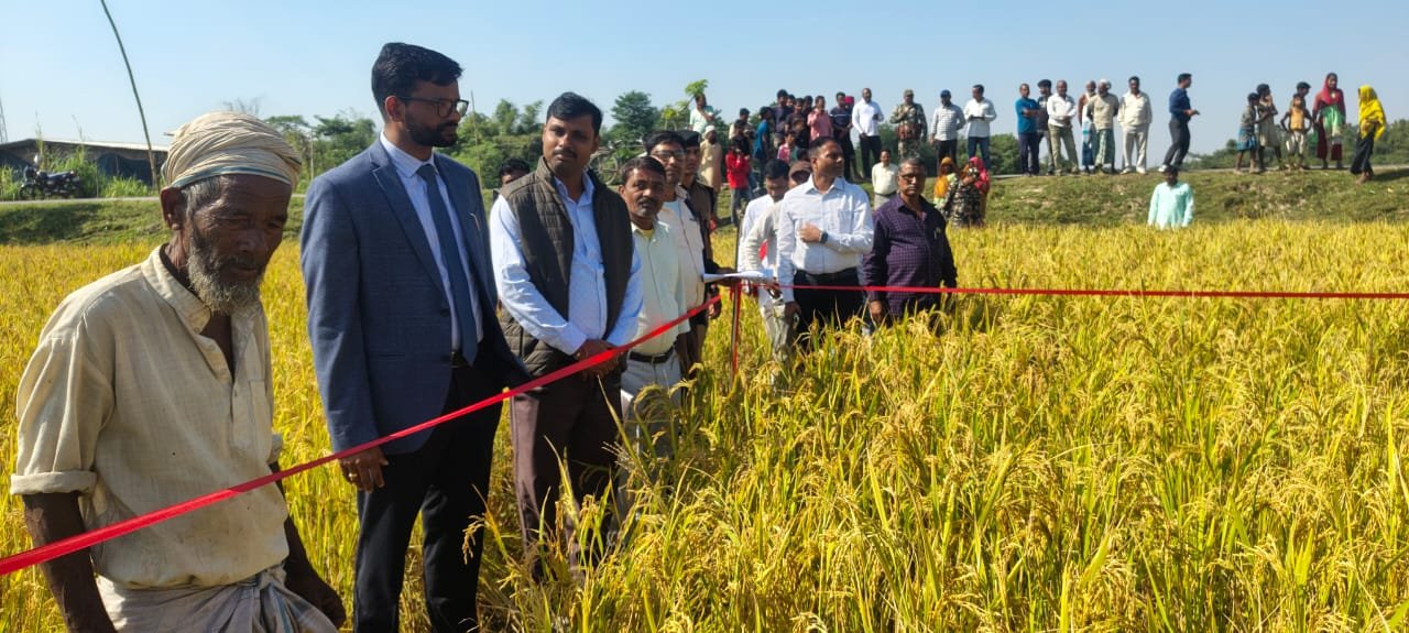 अगहनी धान फसल कटनी प्रयोग का डीएम ने कृषि विभाग के अधिकारियों को साथ किया निरीक्षण