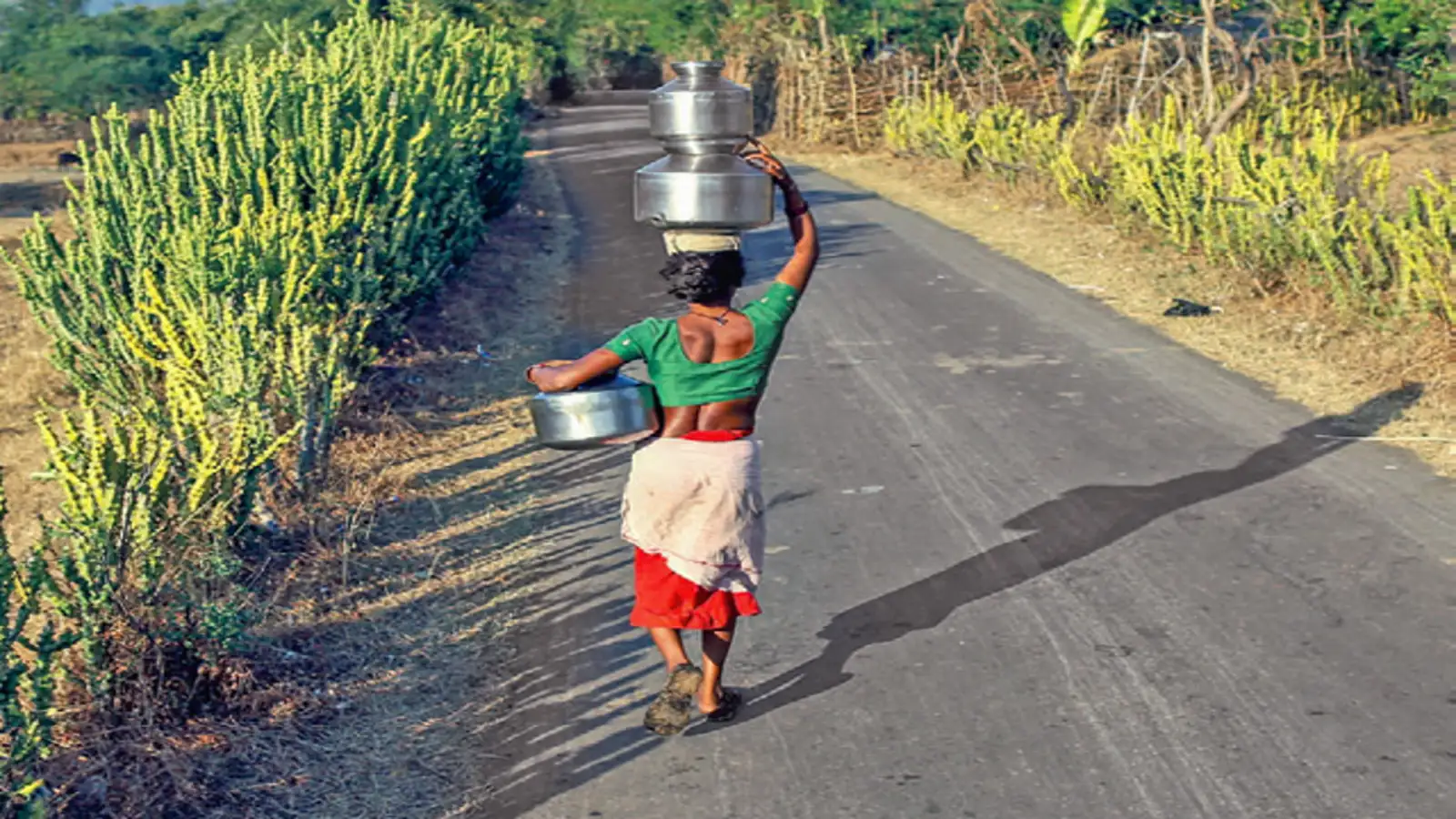 ‘समृद्धि यात्रा’ से पहले सड़कों का ‘डबल डोज’; क्या बिहार के ग्रामीण अर्थतंत्र की तस्वीर बदल पाएंगे नीतीश कुमार?